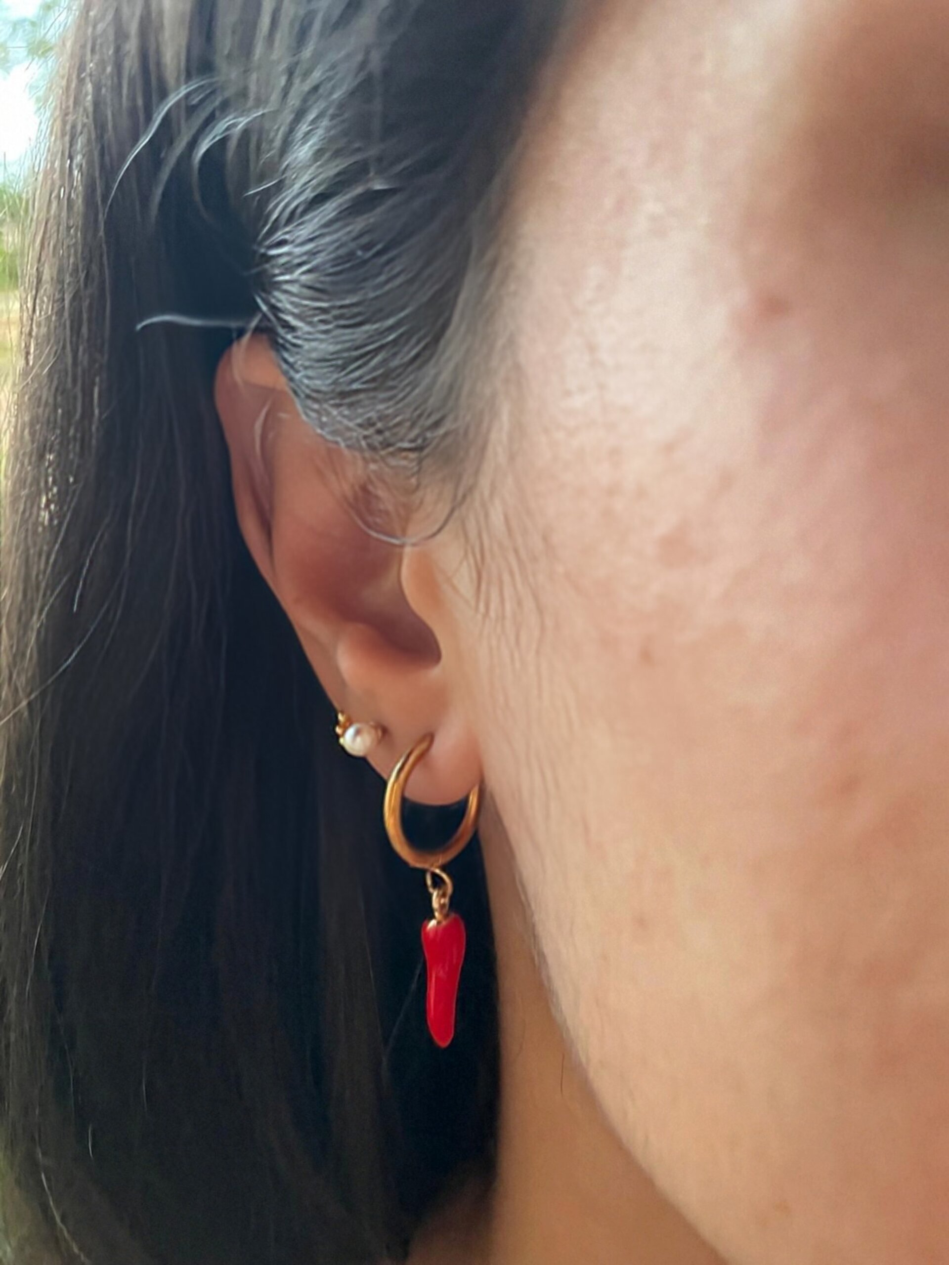 Pendientes Encantos de Chile - 8