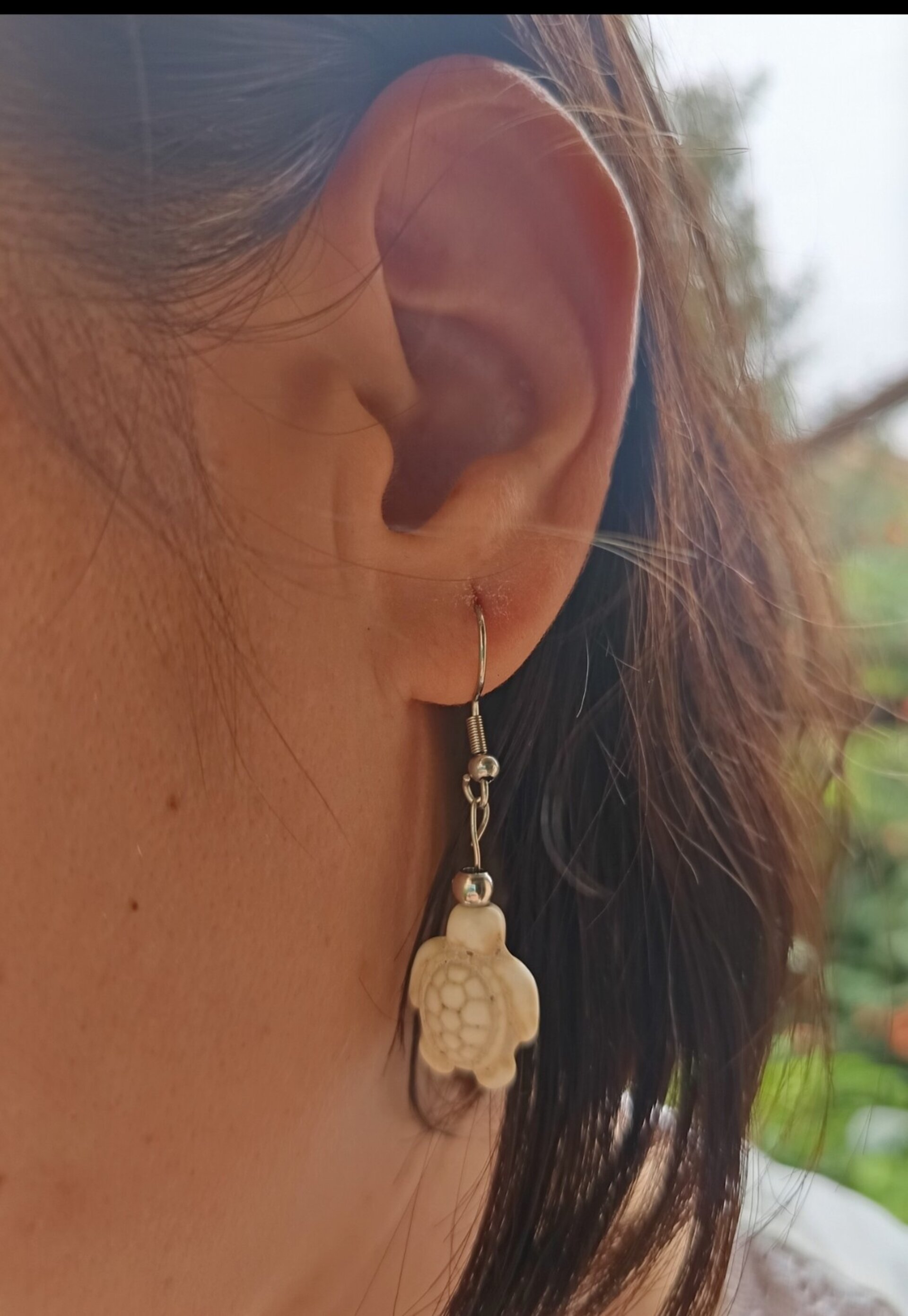 Pendientes tortuga - 2
