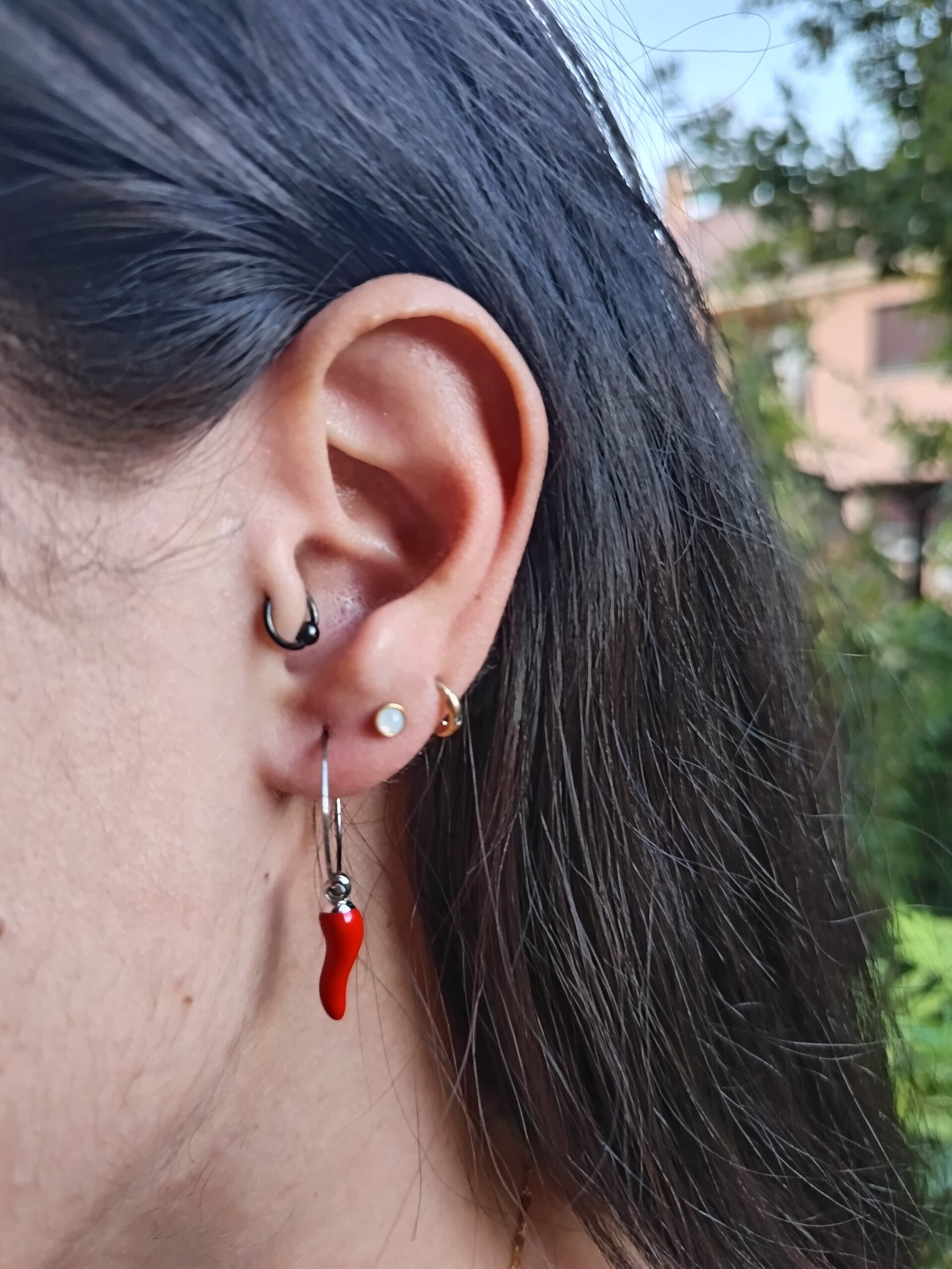 Pendientes Encantos de Chile - 2