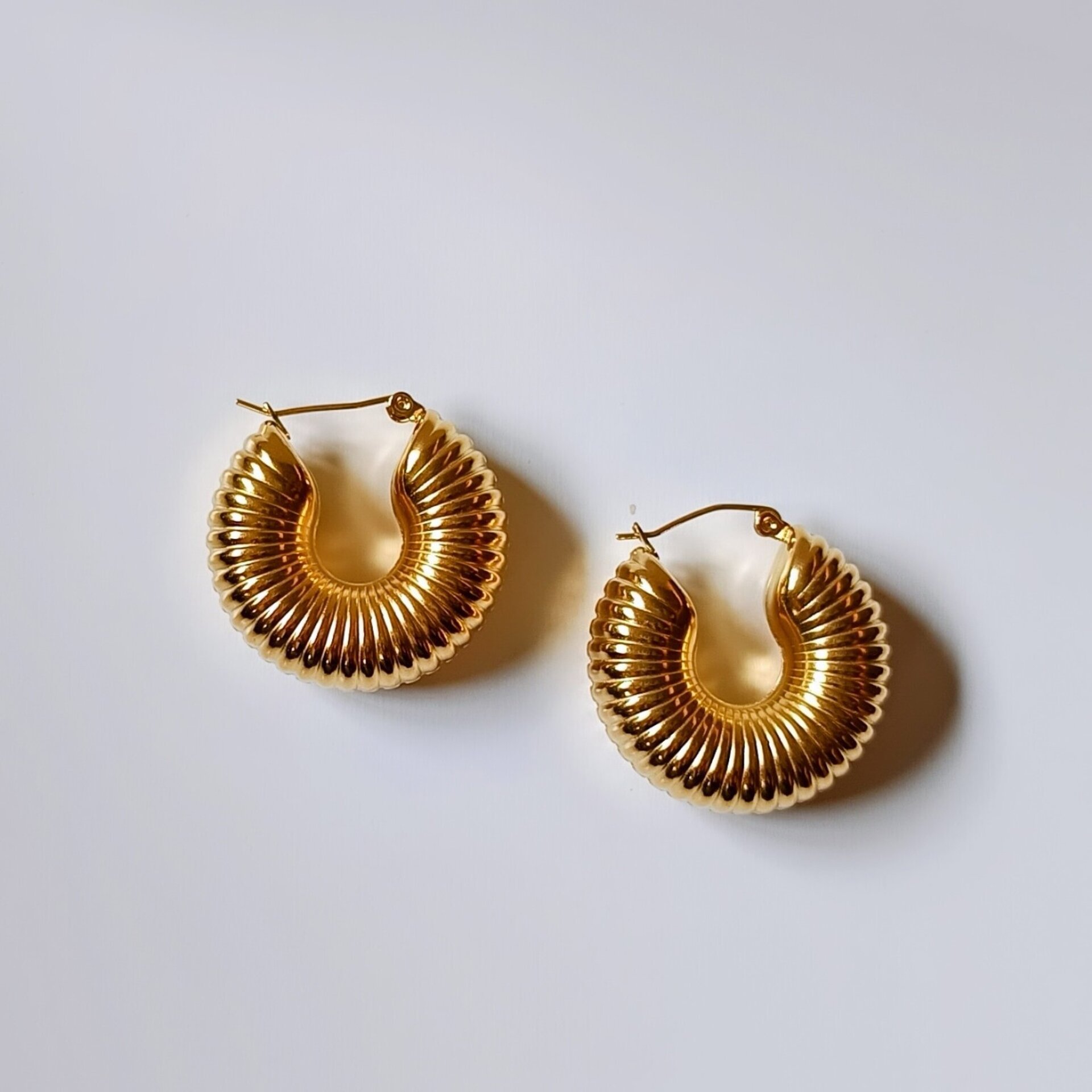 Pendientes caracola - 2
