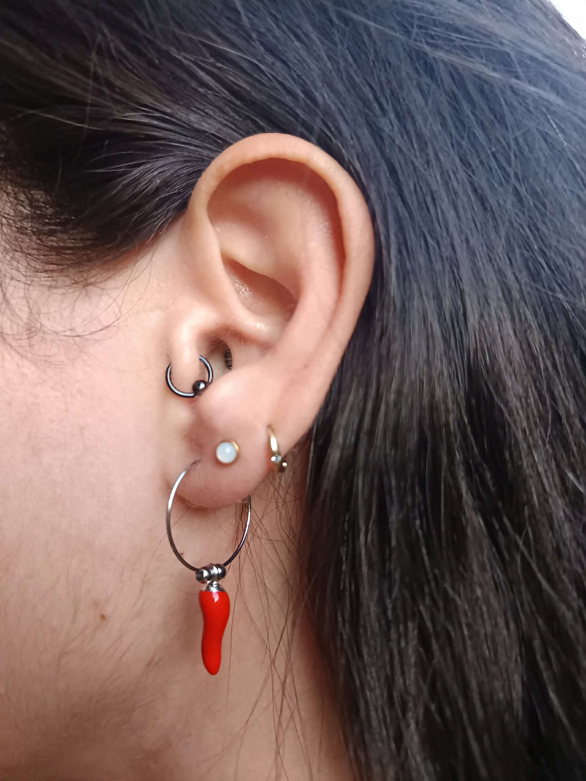 Pendientes Encantos de Chile - 3